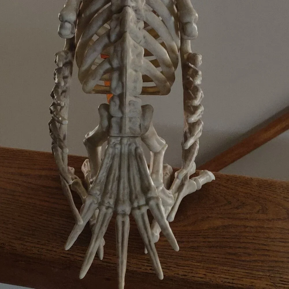 Realistic Rubbery Skeleton Vulture 14" Length x 10" Height - Picture 2 of 5